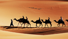 Camel Caravans Begin